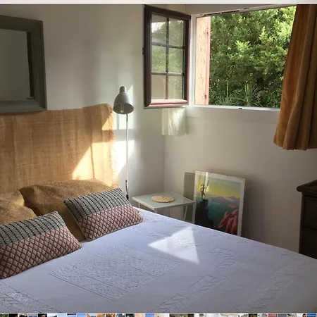 Appartement Les Pins Saint-Raphaël
