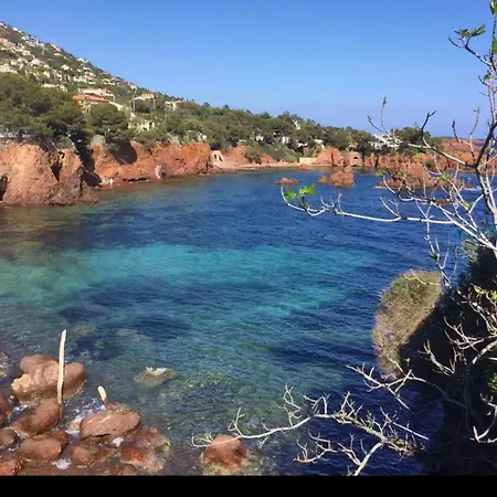 Les Pins * Saint-Raphaël