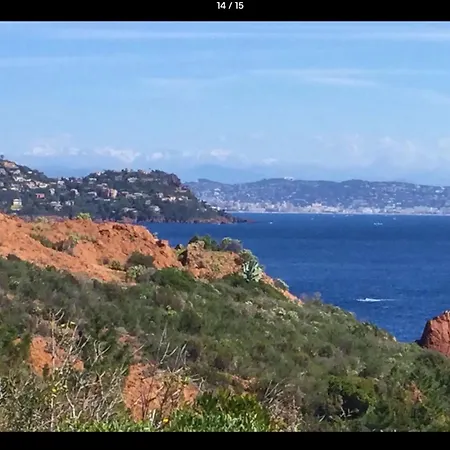Les Pins * Saint-Raphaël